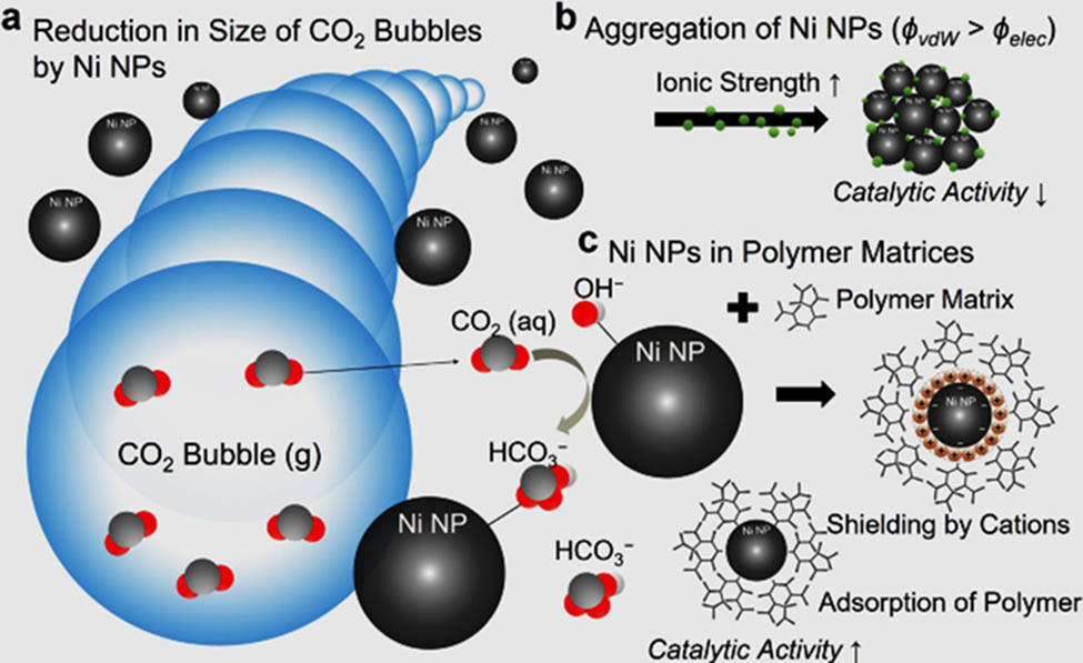 Figure 12 
                  Typical catalytic activity of NiNPs [131]. (a) reduction of CO2 bubbles, (b) aggregation of NiNPs and (c) adsorption of polymers.
               