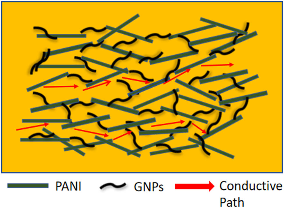 Figure 6 
                  Schematic diagram of the conductive path inside the epoxy/PANI/GNPs (NC2) nanocomposites.
               