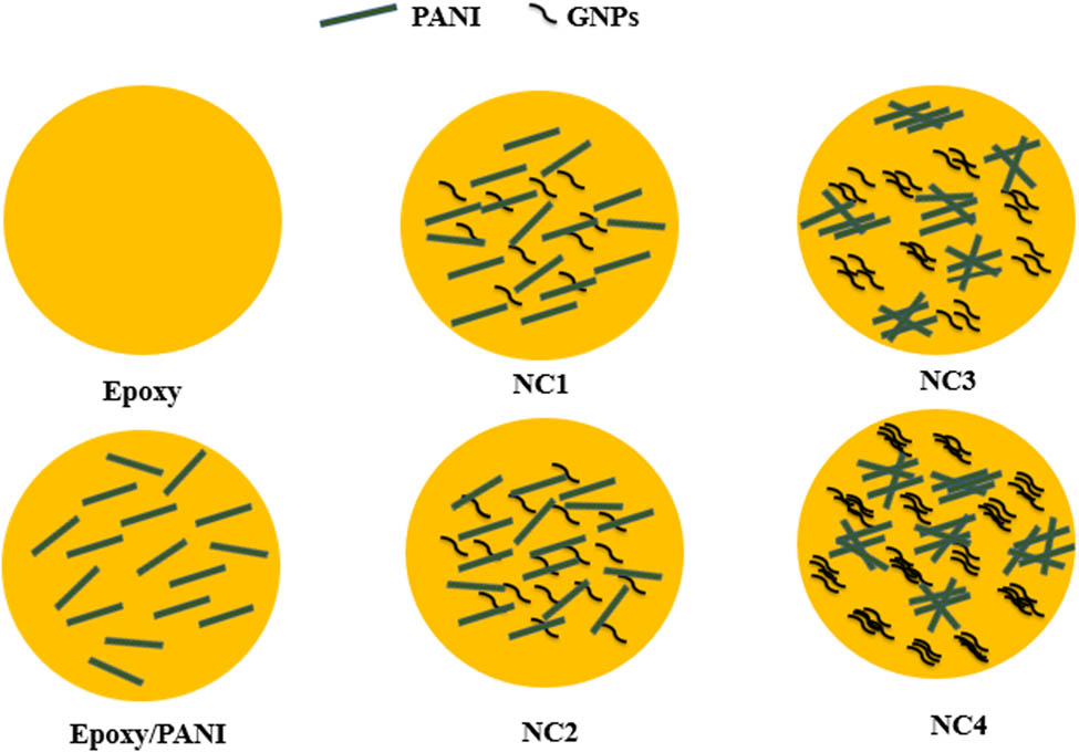 Figure 9 
                  Schematic diagram of epoxy, epoxy/PANI, and epoxy/GNPs/PANI nanocomposites.
               