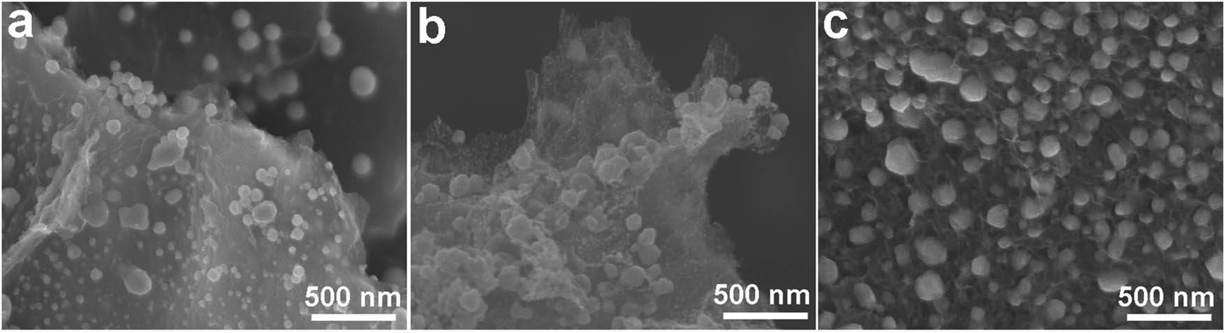 Figure 1 
               SEM images of McM@rGO synthesized at different annealing temperatures: (a) McM@rGO-400, (b) McM@rGO-600, and (c) McM@rGO-800.
            