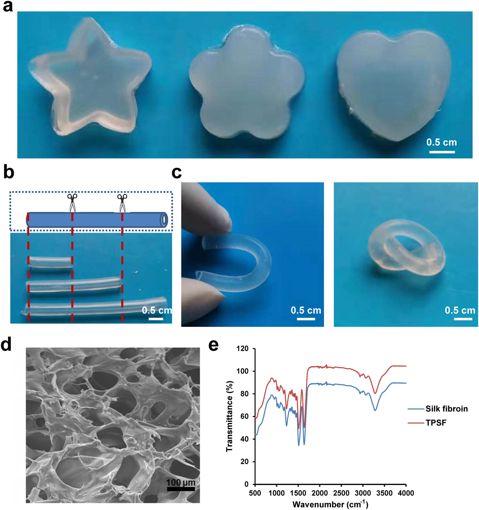Figure 1 
                  Characterization of TPSF hydrogel: (a) visual image of hydrogels with various 3D structures, (b) scale bar: 0.5 cm, (c) photographs of the cutting, bending, and knotting shapes of hydrogels, (d) SEM image of TPSF hydrogel, and (e) FTIR spectra of TPSF hydrogel.
               