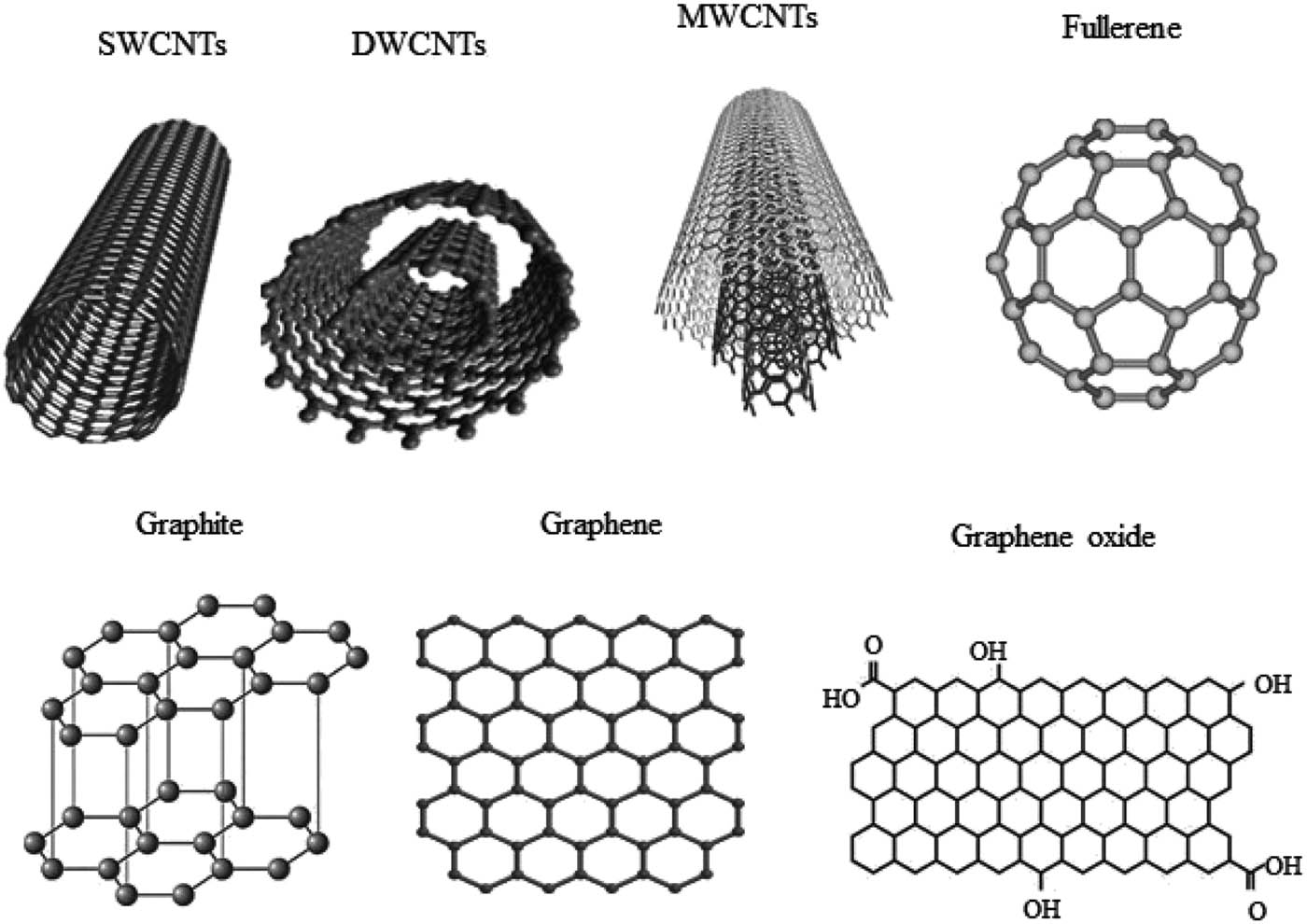 Figure 1 
               Different structures of carbon nanomaterials (CNMs) [27].
            