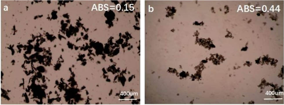 Figure 2 
               Dispersion state of GO (a) and TEA-GO (b) in pore solution [57].
            