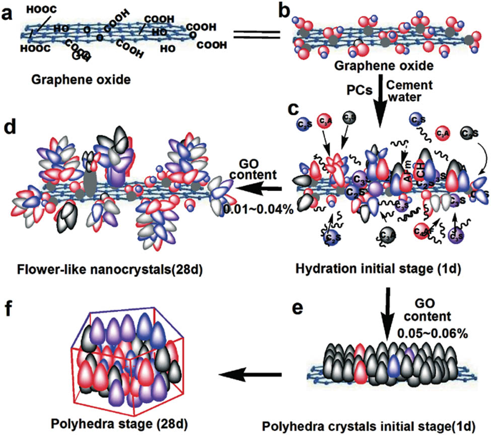 Figure 7 
                  Schematic diagram of GO regulating the hydration crystal of cement proposed by Lv et al. [89].
               