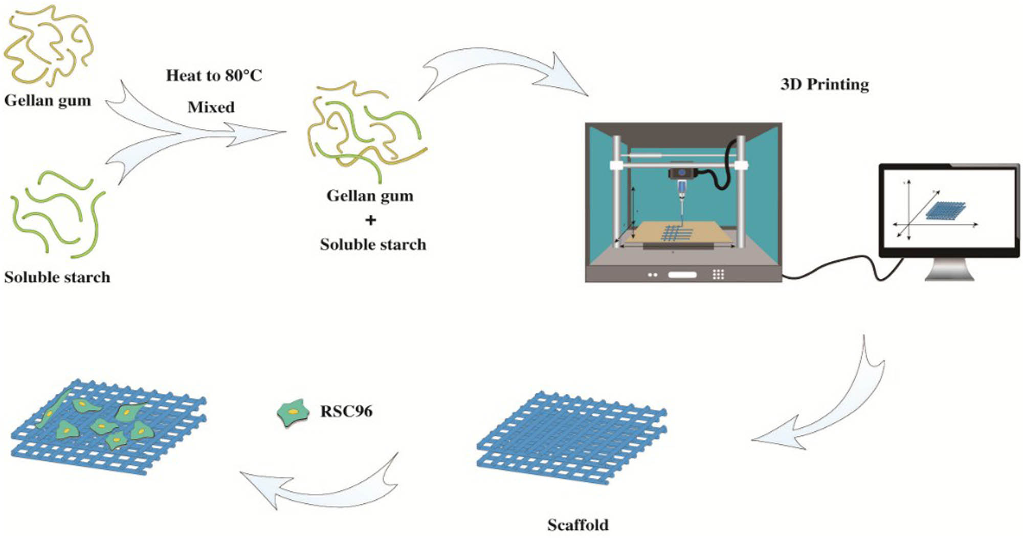 Figure 1 
                  The preparation of the GG/ST hydrogel.
               