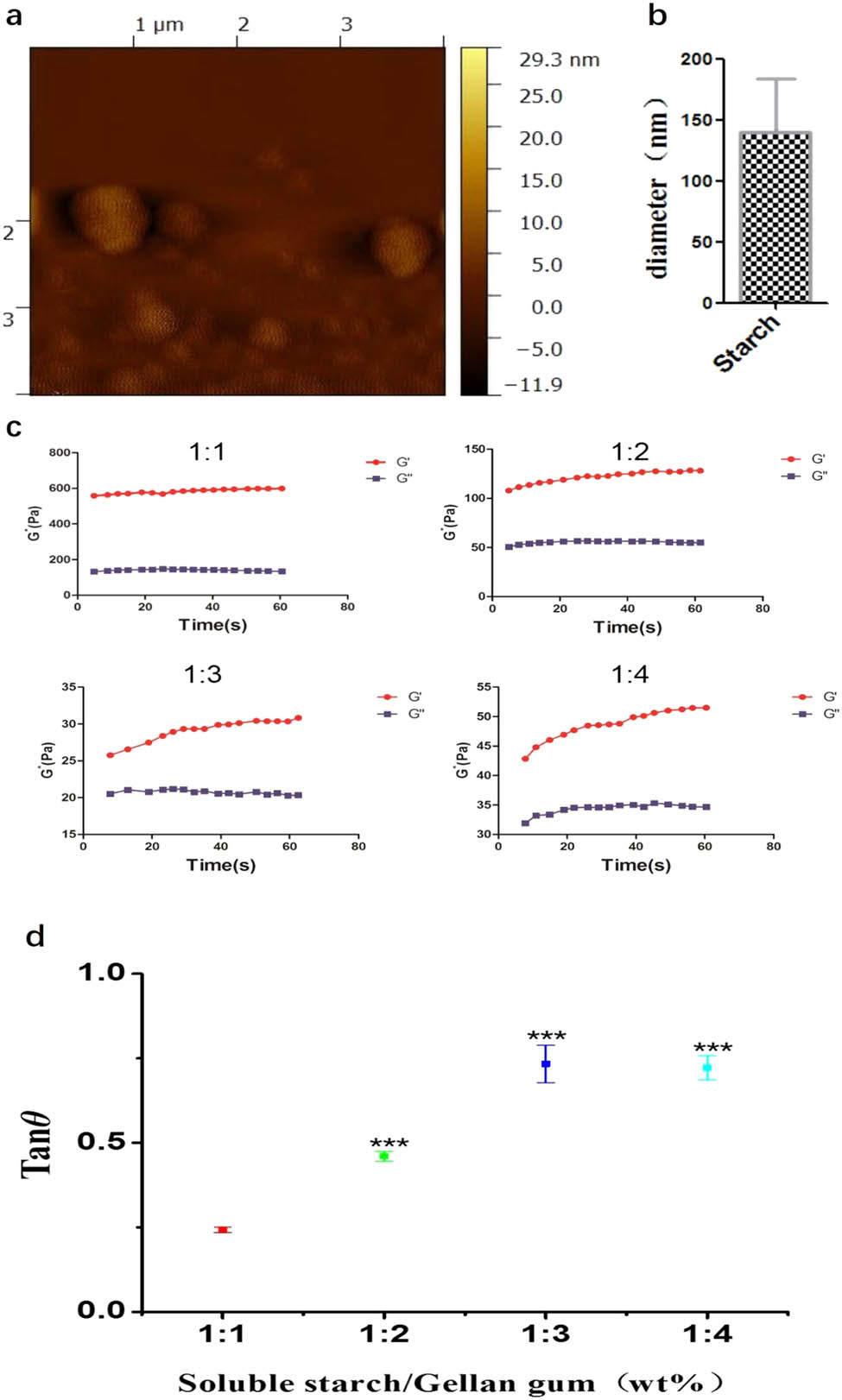 Figure 2 
                  AFM of starch granules and rheological properties of GG/ST scaffolds with different ratios. (a) AFM; (b) starch particle size; (c) G′ and G″ in amplitude mode; (d) loss angle. ***p < 0.001 by one-way ANOVA test.
               