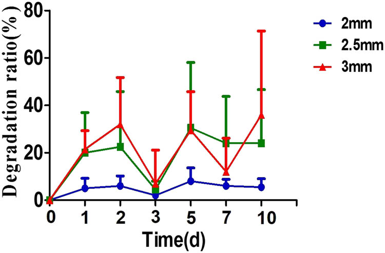 Figure 5 
                  Degradation experiment of GG/ST scaffold.
               