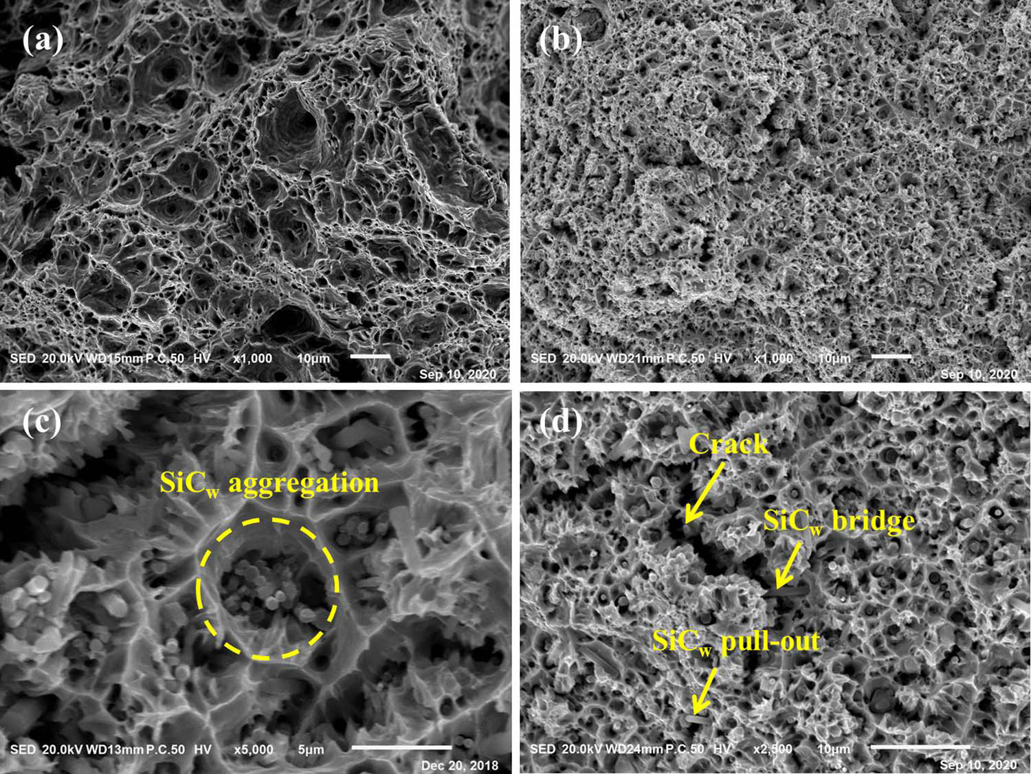 Figure 5 
                  Tensile fracture morphology of copper matrix composites: (a) Pure copper, (b) Cu–Al2O3, (c) SiCw/Cu, and (d) SiCw/Cu–Al2O3.
               