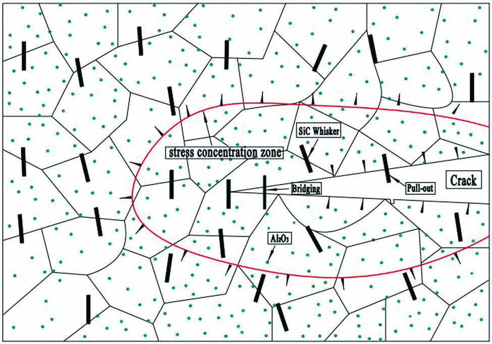 Figure 7 
                     Schematic diagram of the particle and whisker hybrid-reinforced SiCw/Cu–Al2O3 composite.
                  
