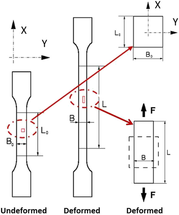 Figure 1 
                  Schematic representation of 3D optical measuring DIC techniques to measure the full strain field and local longitudinal and transversal strains ε
                     X = (L − L
                     0)/L
                     0 and ε
                     Y = (B − B
                     0)/B
                     0, respectively.
               