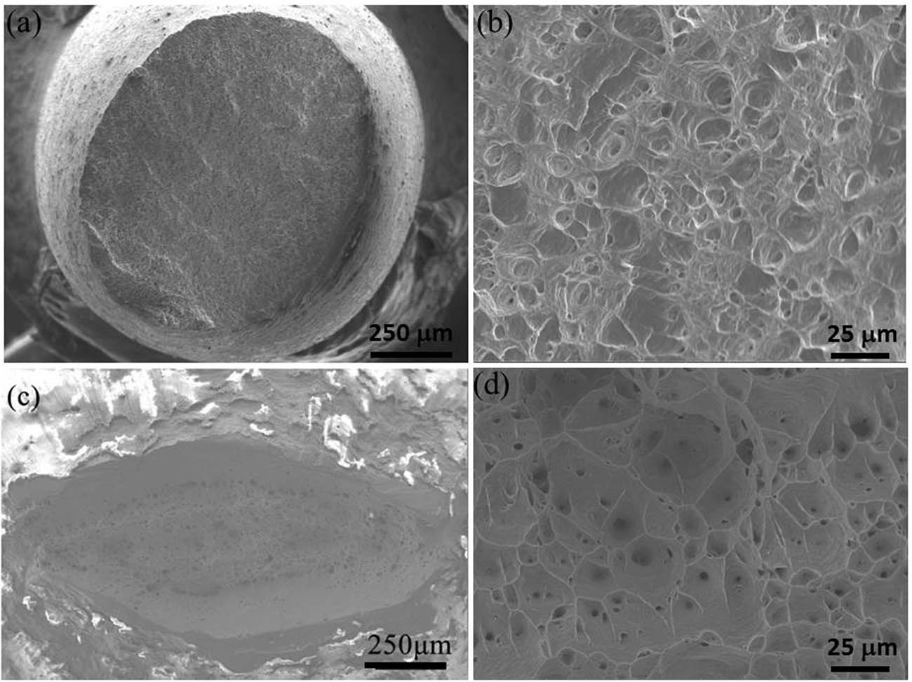 Figure 7 
                  SEM images of the fracture surfaces of the UFG (a and b) and CG Al (c and d); (a and c) low magnification; and (b and d) high magnification.
               