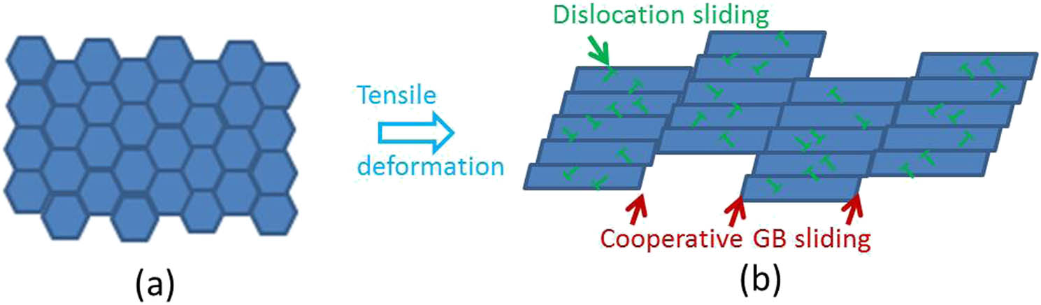 Figure 11 
                     Schematic diagram of the deformation mechanism of UFG materials under the complex stress state: (a) initial microstructures; (b) tensile deformed microstructures with cooperative GB and dislocation sliding.
                  