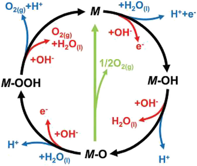 Figure 3 
                  The OER technique in acidic (blue line) and basic (red line) solutions. The black line shows that the OER connects the production of a peroxide (M–OOH) intermediate (black line) with the formation of oxygen, while another way to form oxygen is the reaction of two adjoining oxo (M–O) intermediates (green). Redrawn from [67]; copyright 2017, Royal Society of Chemistry.
               
