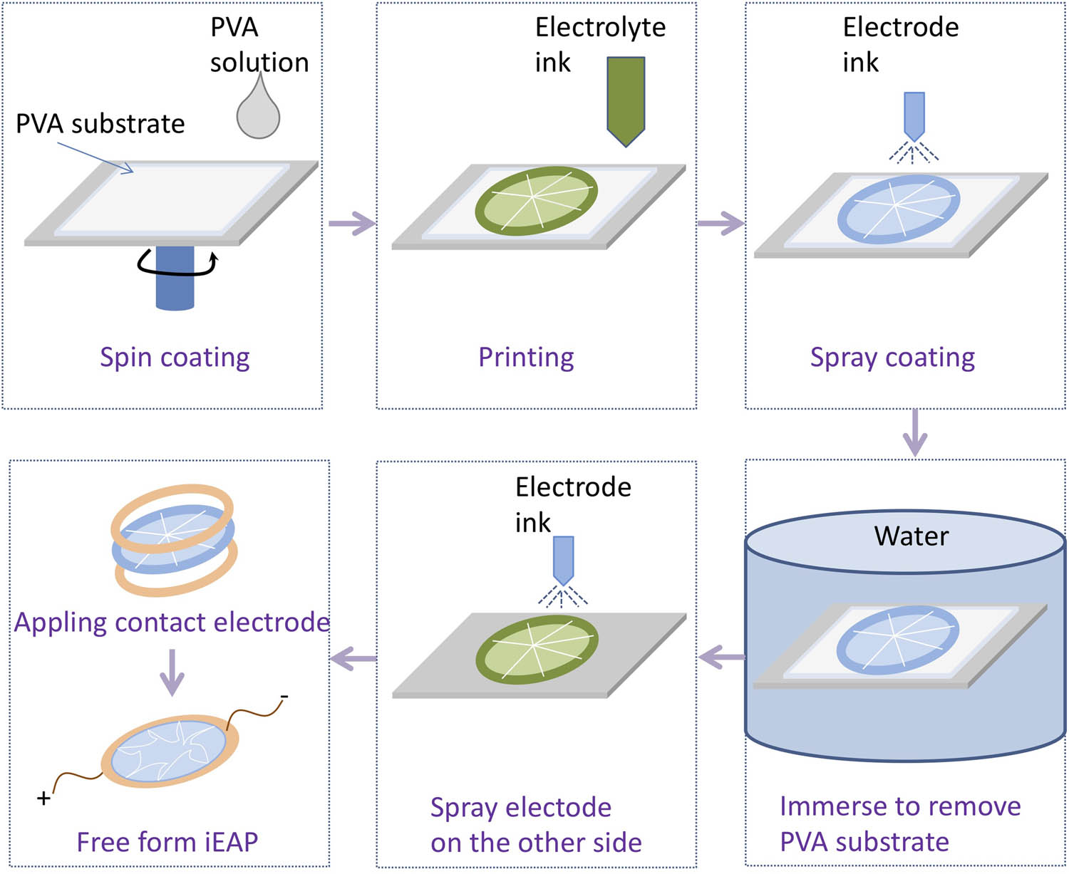 Figure 7 
               Strategy of fabricating free form iEAP.
            