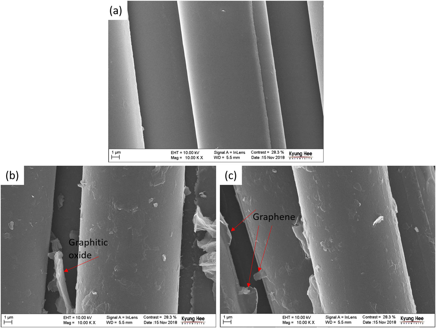 Figure 2 
               FE-SEM images of: (a) bare BF; (b) GO-coated BF (GO-BF); (c) graphene-coated BF (rGO-BF).
            