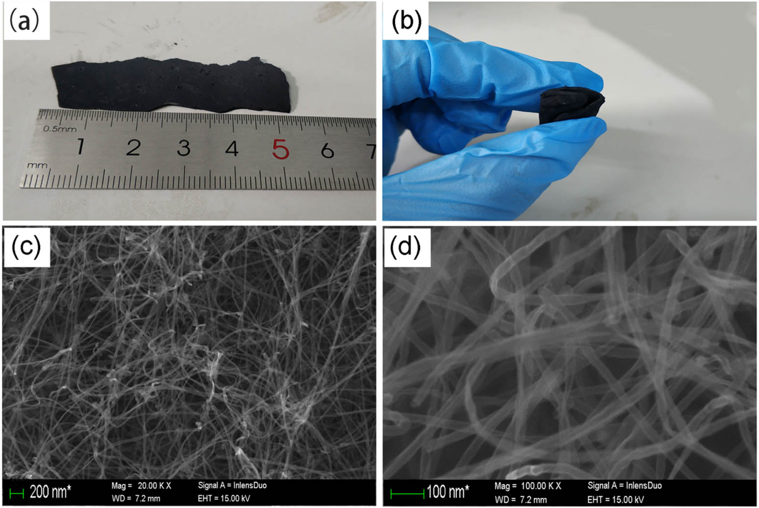 Figure 2 
                  (a) and (b) Prepared MWCNT sponge; (c) and (d) low-resolution and high-resolution SEM image showing the random CNT network of sponges.
               