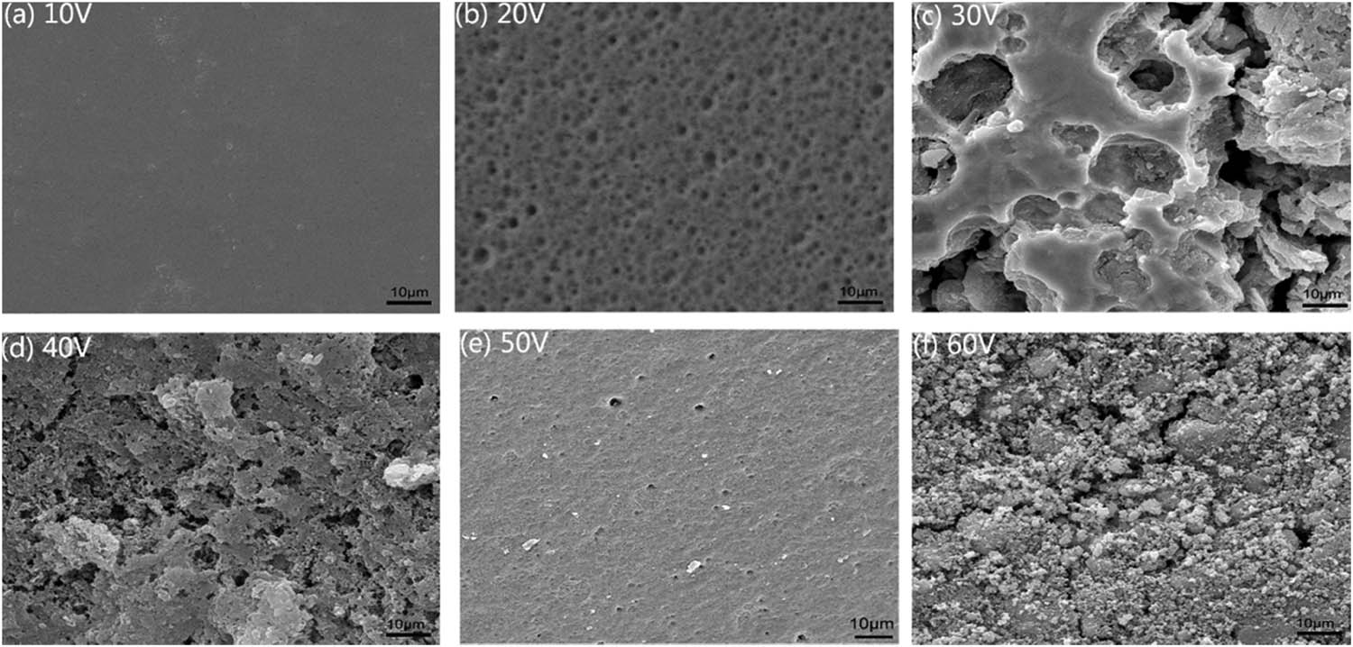 Figure 5
SEM images of spanner surface treated with different voltages for 40 min: (a) 10 V, (b) 20 V, (c) 30 V, (d) 40 V, (e) 50 V, and (f) 60 V.