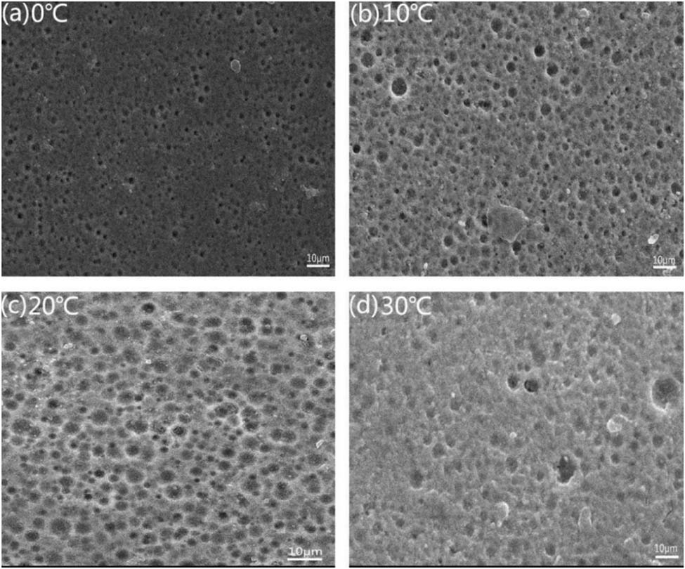Figure 7
SEM spectra of spanner surface after anodic oxidation at different temperatures: (a) 0°C, (b) 10°C, (c) 20°C, and (d) 30°C.