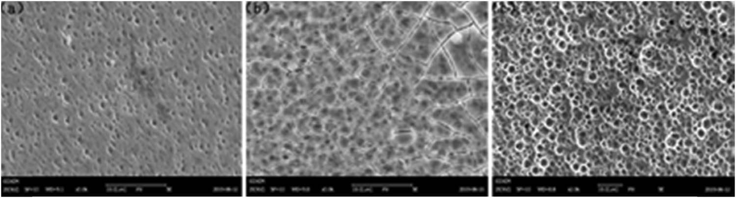 Figure 9
Surface morphology of spanner treated with T liquid for 30 min after anodic oxidation: (a) 20 V – 40 min, (b) 20 V – 50 min, and (c) 20 V – 60 min.