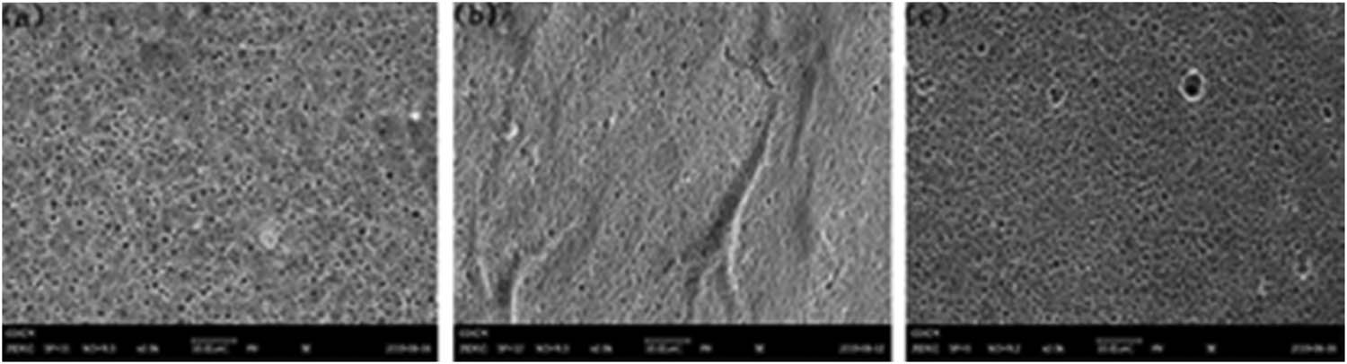 Figure 10
Surface morphology of spanner treated with T liquid for 60 min after anodic oxidation: (a) 20 V – 40 min, (b) 20 V – 50 min, and (c) 20 V – 60 min.