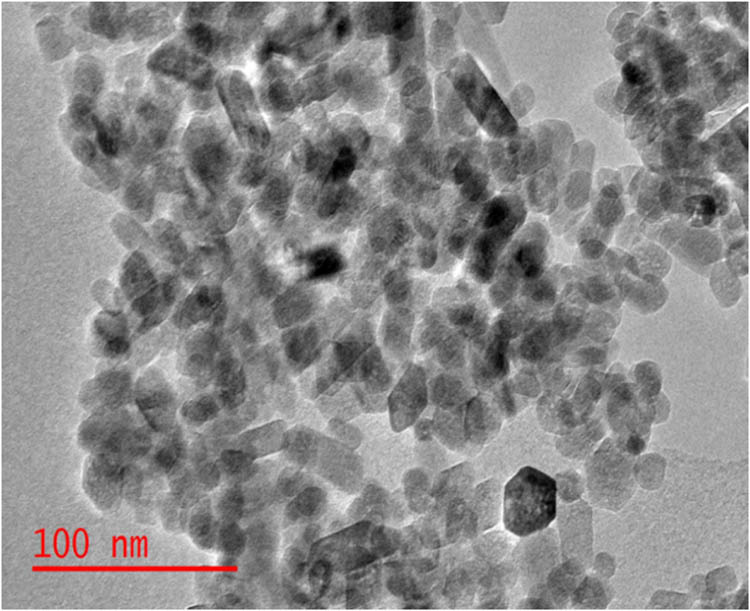 Figure 11 
                  HRTEM images of V/Ag/TiO2.
               