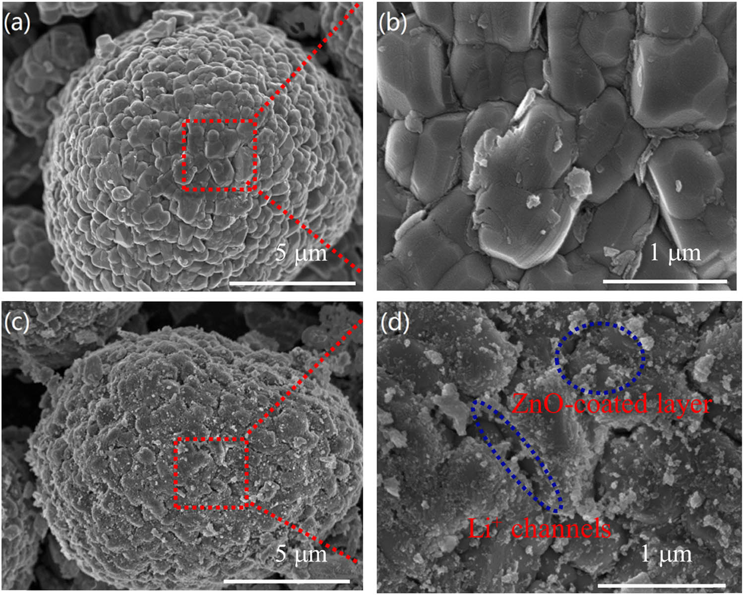 Figure 7 
                  SEM images of the (a and b) pristine and (c and d) 1 wt% ZnO-coated LiNi0.8Co0.15Al0.05O2 samples.
               