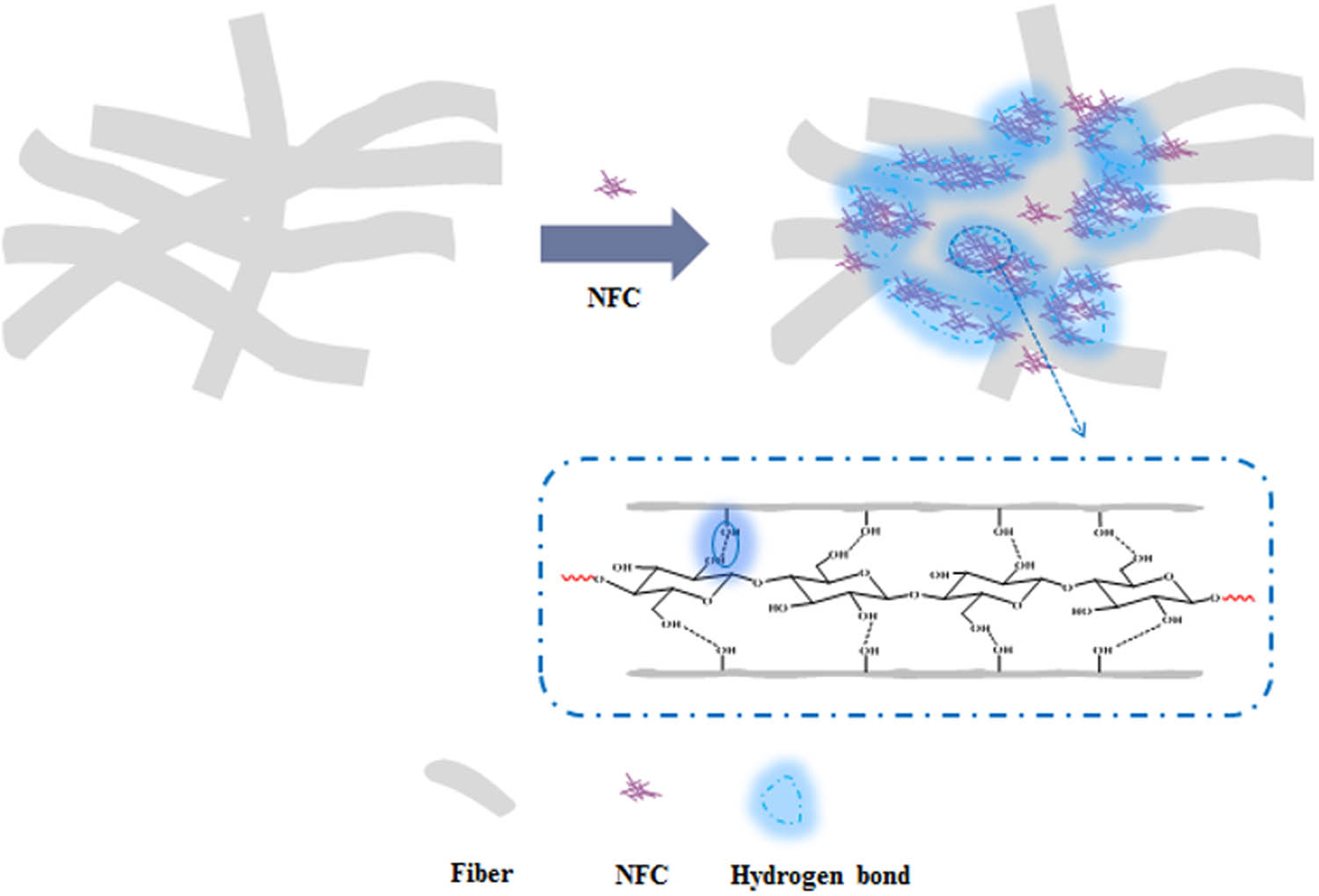 Figure 3
Combined effect of fiber entangling and NC reinforcement within paper.