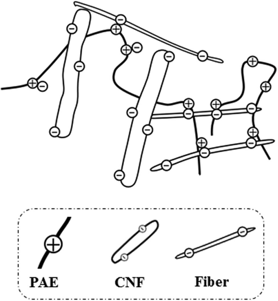 Figure 4
Charge angle and networking of paper matrix with NC composites.