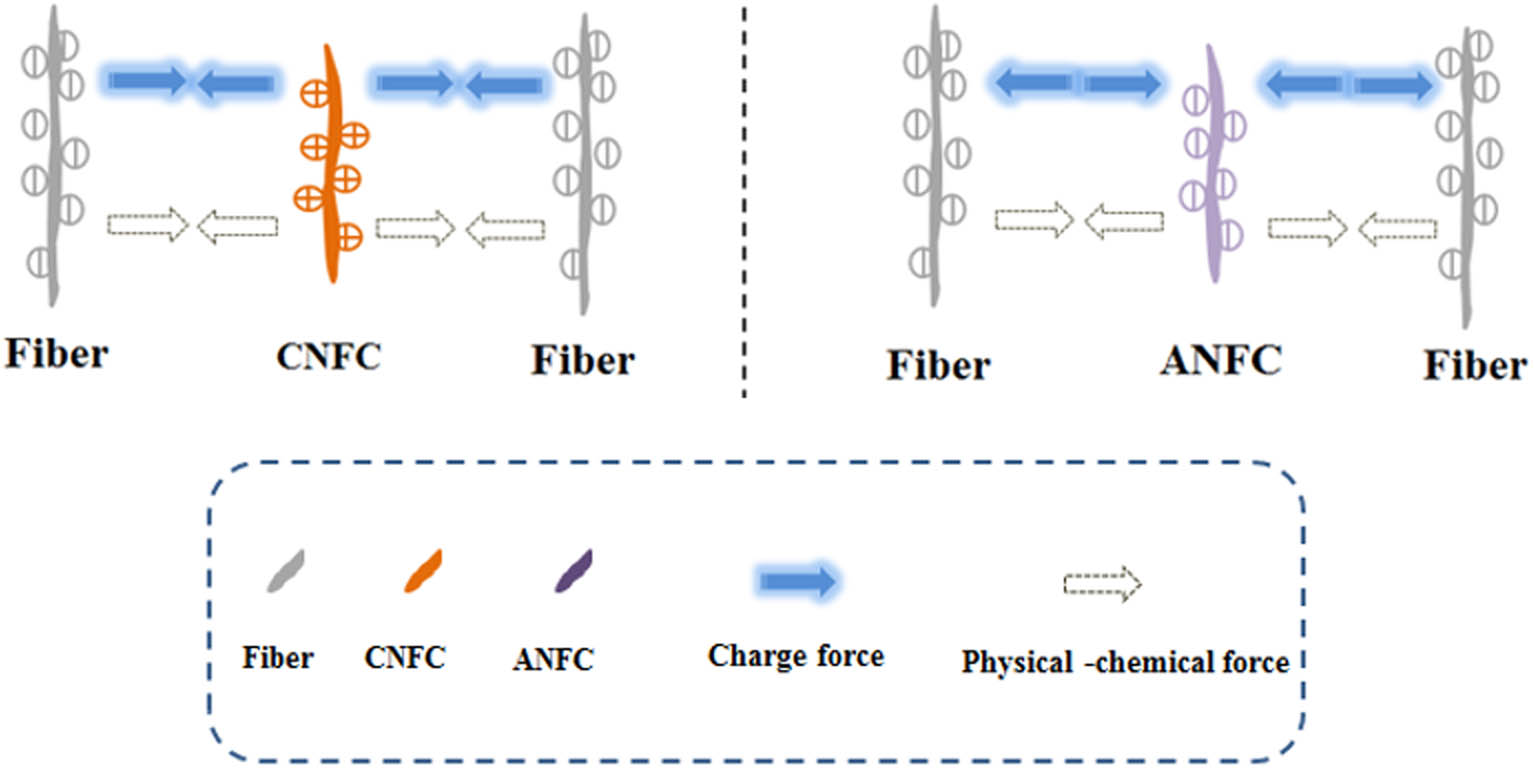 Figure 9
Reinforcement mechanism of CNFC/ANFC and cork fiber insulation material.