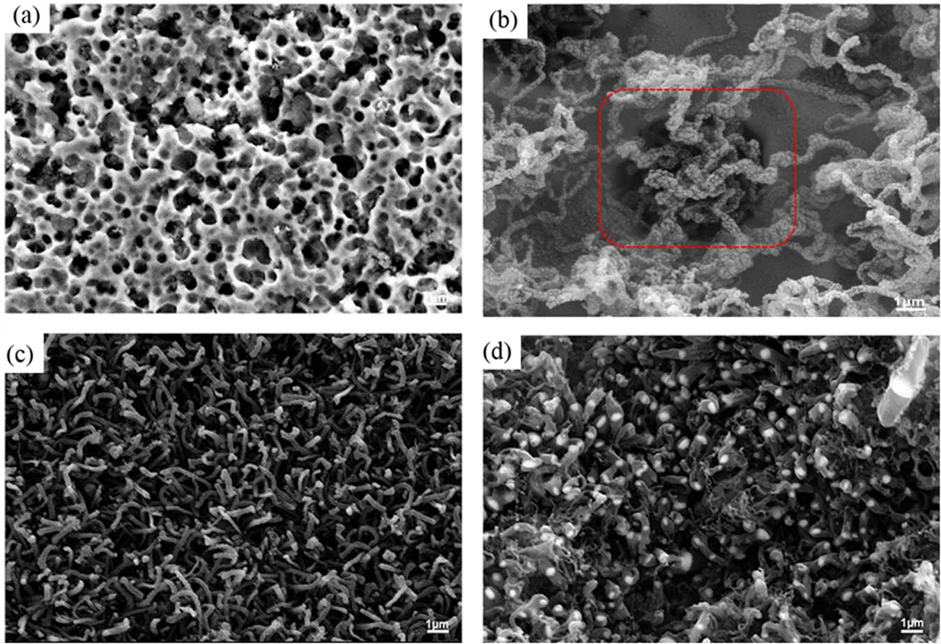 Figure 3 
               SEM spectra of metal substrate surface before and after the in situ growth of CNTs at different time. (a) Before CNTs growing; (b) growing for 10 s; (c) growing for 30 s; (d) growing for 60 s.
            