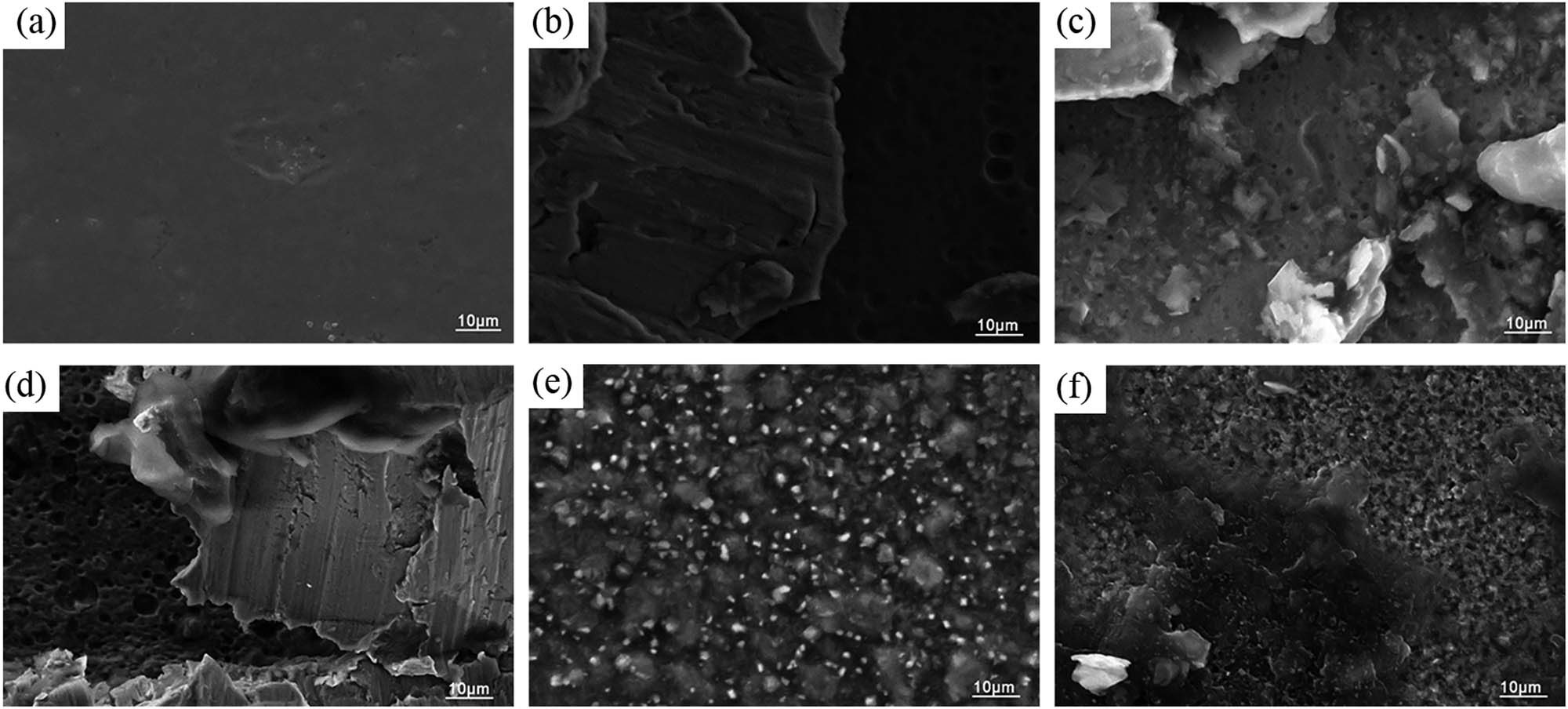 Figure 7 
               Surface SEM image of alloy resin composite after the bonding test. (a) Unanodized; (b) two-step anodizing; (c) T-30 min; (d) 10 s; (e) 30 s; (f) 60 s.
            