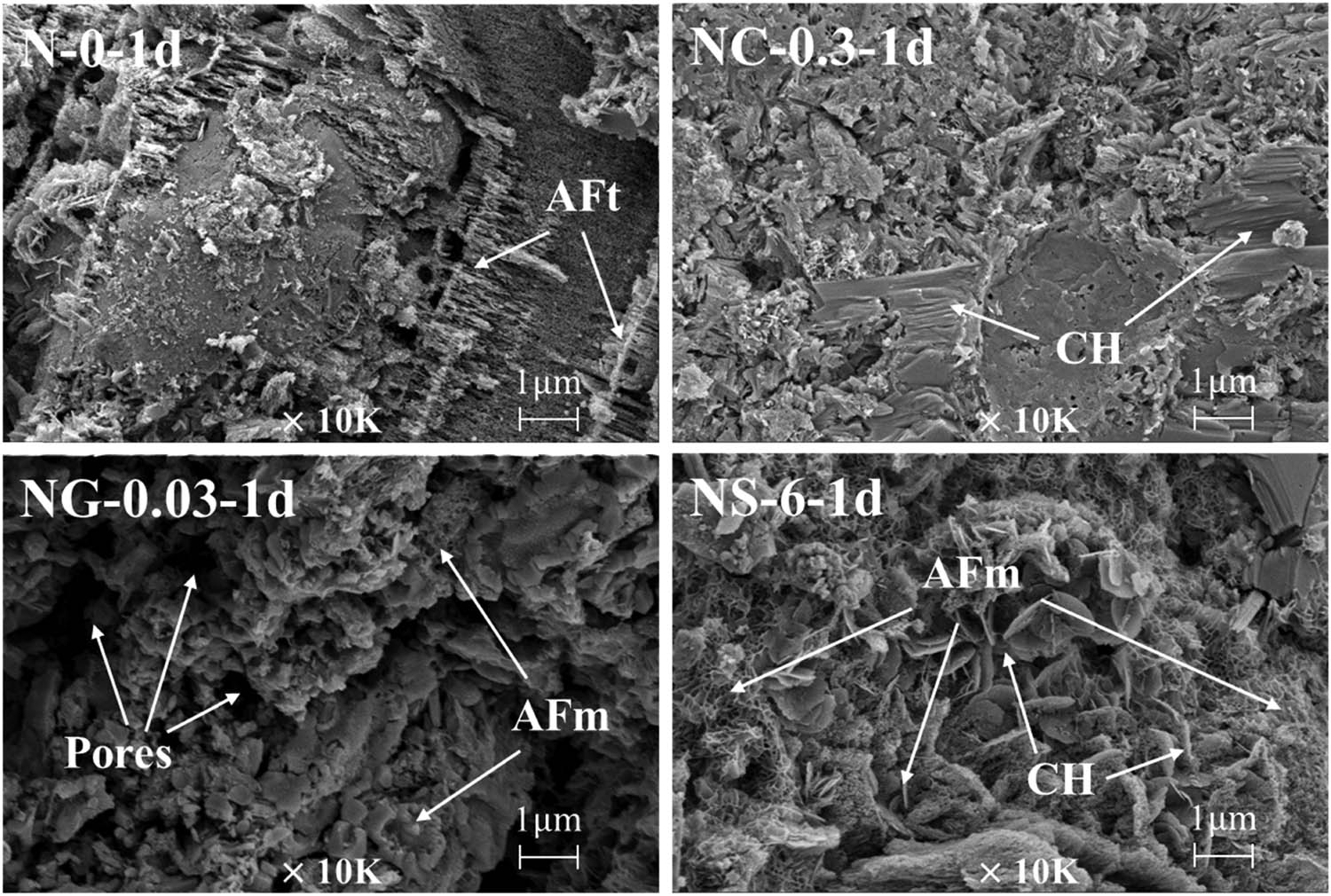 Figure 10 
                  SEM images of the specimens with or without nanomaterials at 1 day.
               