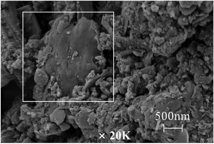 Figure 11 
                  Layer-like structure of graphene oxide sheet.
               