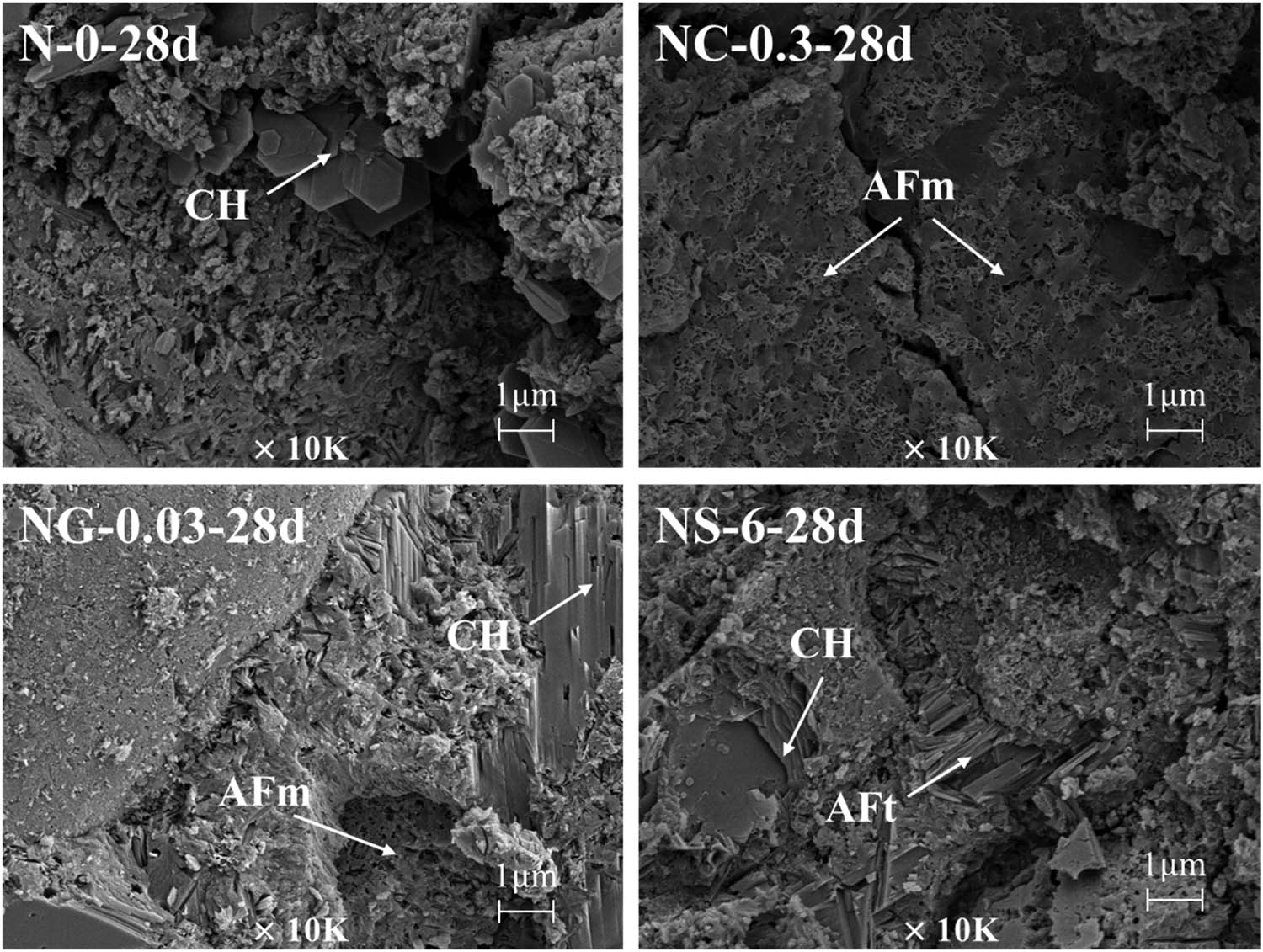 Figure 12 
                  SEM images of the specimens with or without nanomaterials at 28 days.
               