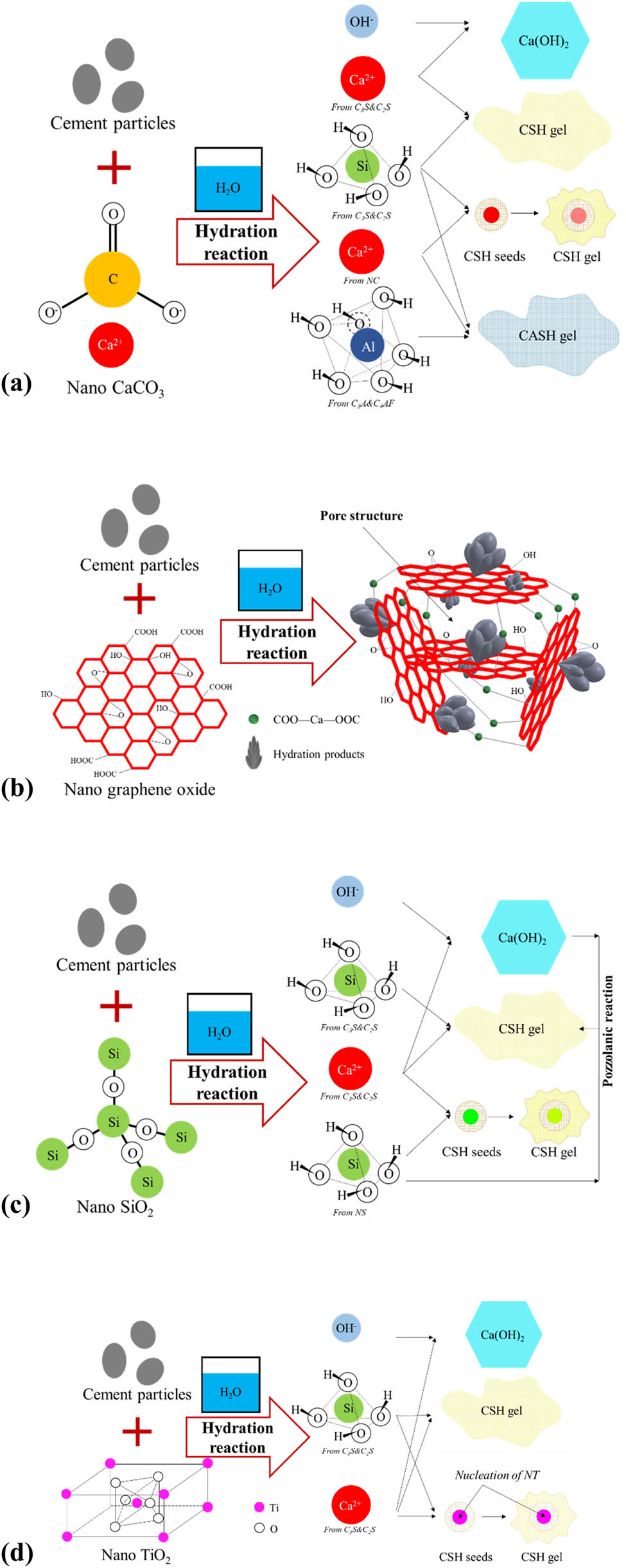 Figure 14 
                  Hydration reactions in the presence of NC, NG, NS, and NT. (a) Hydration reactions in the presence of NC. (b) Hydration reactions in the presence of NG. (c) Hydration reactions in the presence of NS. (d) Hydration reactions in the presence of NT.
               
