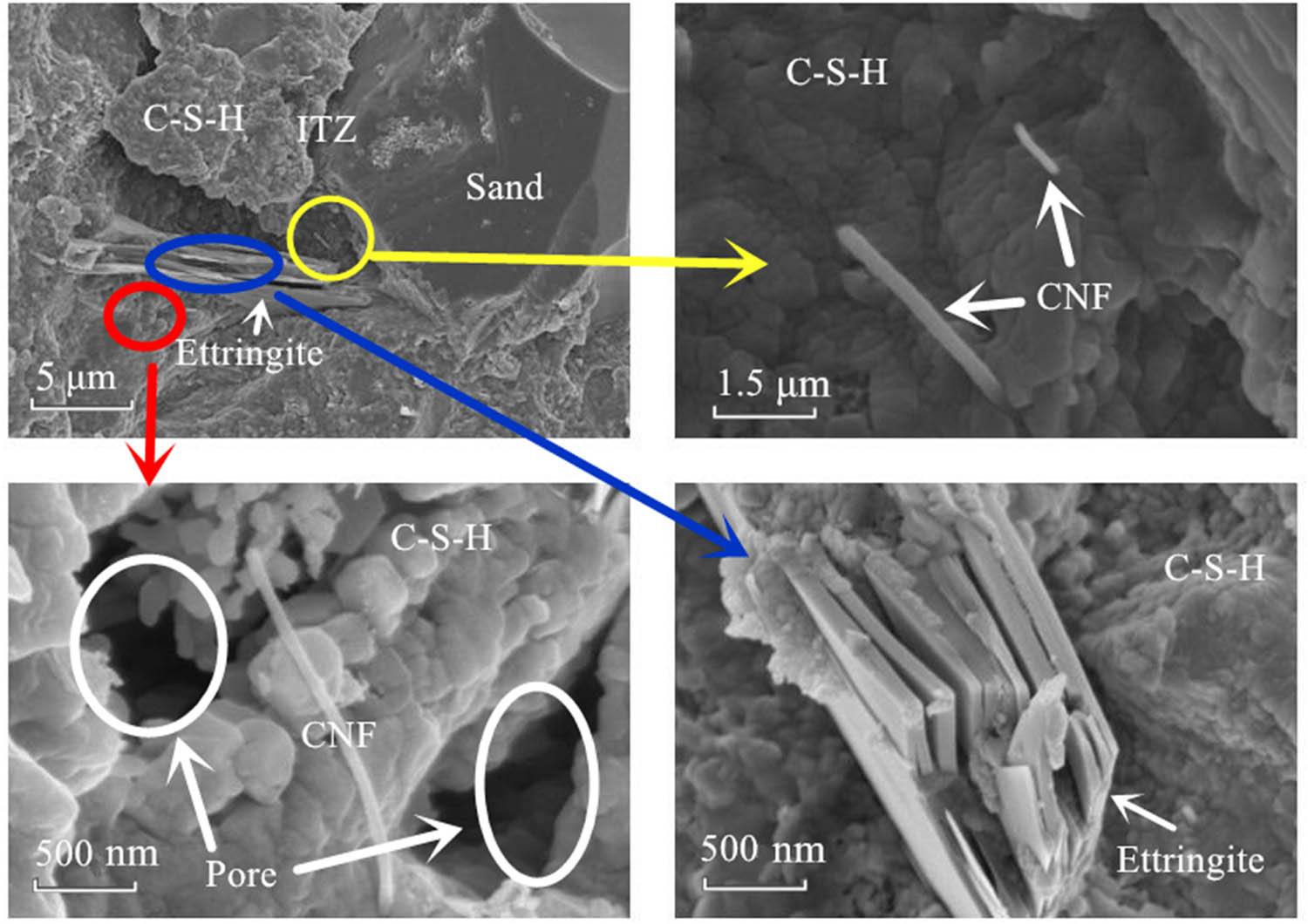 Figure 15
Microstructure of the UHPC with CNF at 28 days.