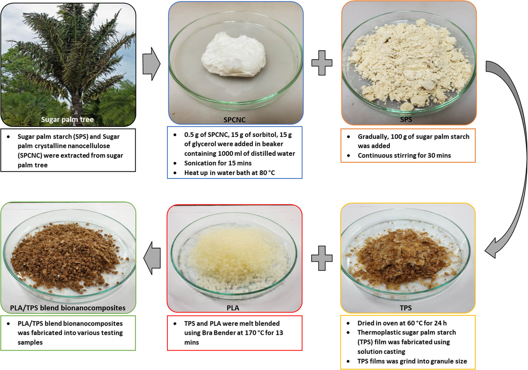 Figure 1 
                  Schematic representation of overall process to prepare PLA/TPS blend bionanocomposites.
               