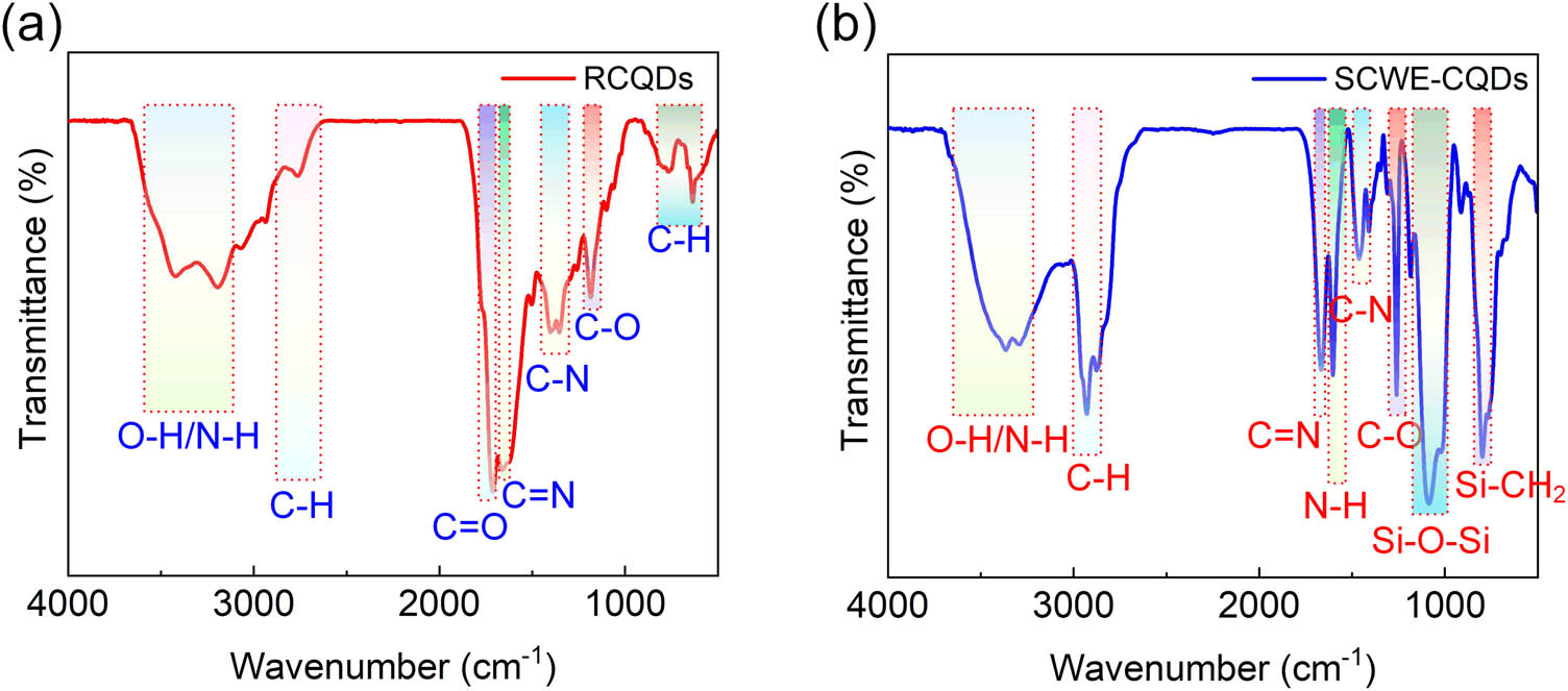 Figure 5 
                  FTIR spectra of (a) RCQDs and (b) SCWE-CQDs.
               