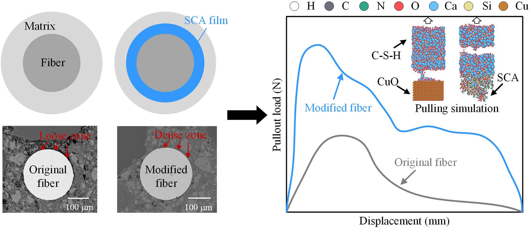 Figure 3 
                  Morphology of original and modified fiber embedded in SFRCC matrix. The interfacial zone between SCA modified fiber and matrix is denser than that of original fiber and matrix, leading to a remarkable improvement in pullout load. MD simulation demonstrates that a tight bond is formed at interface after SCA modification.
               