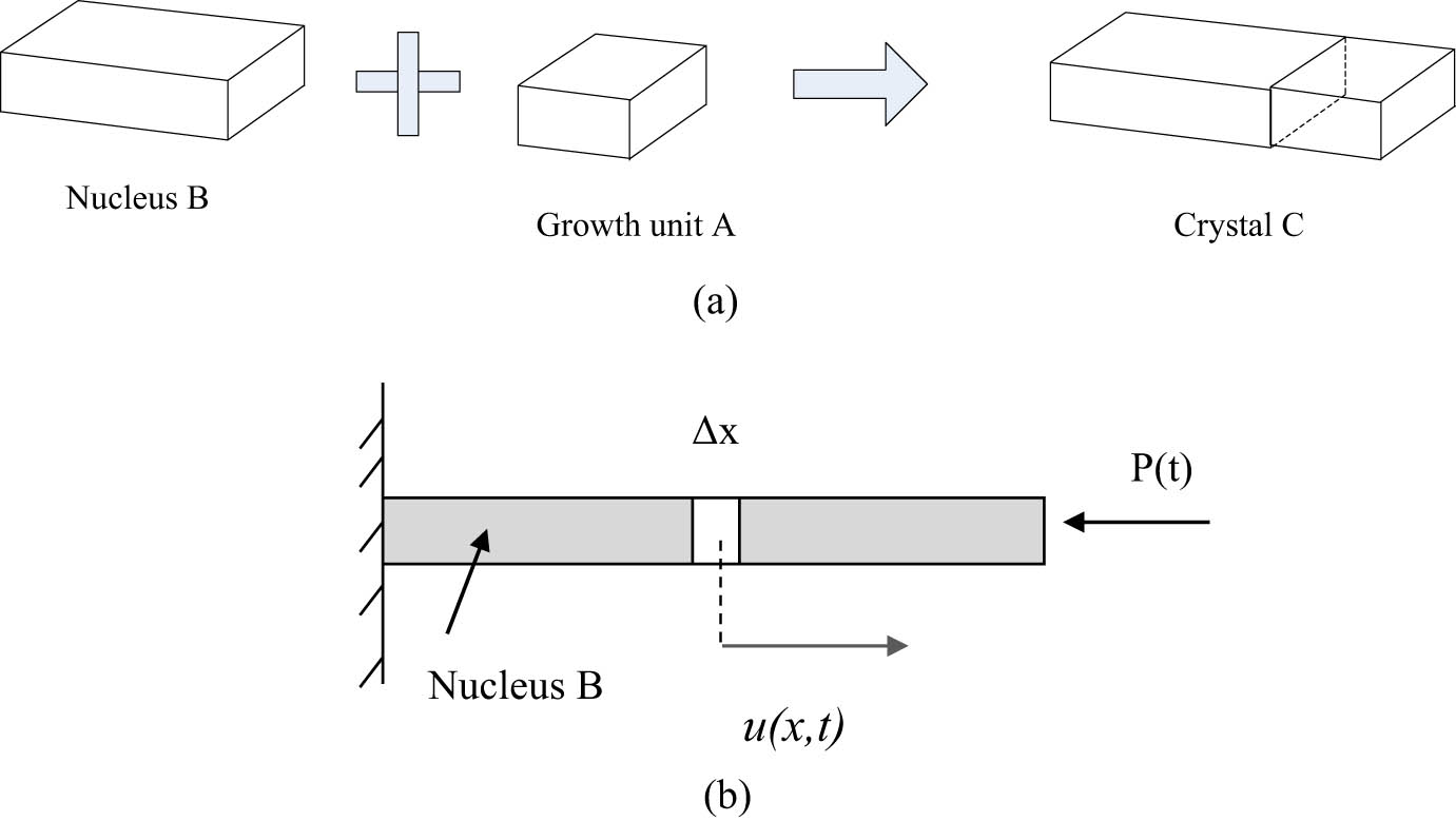 Figure 4 
               (a) Three-dimensional schematic diagram of crystal C is obtained by combining growth unit A and nucleus B; (b) schematic view of elastic nucleus B undergoing axial motions.
            