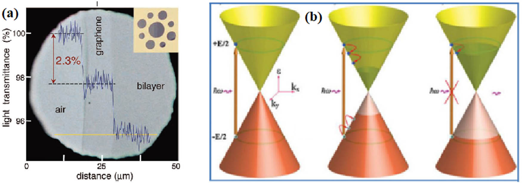 Figure 4 
                  (a) Absorption rate of mono- and bilayer graphene in the presence of light and (b) the dynamic simulation of graphene-saturated absorption [73].
               