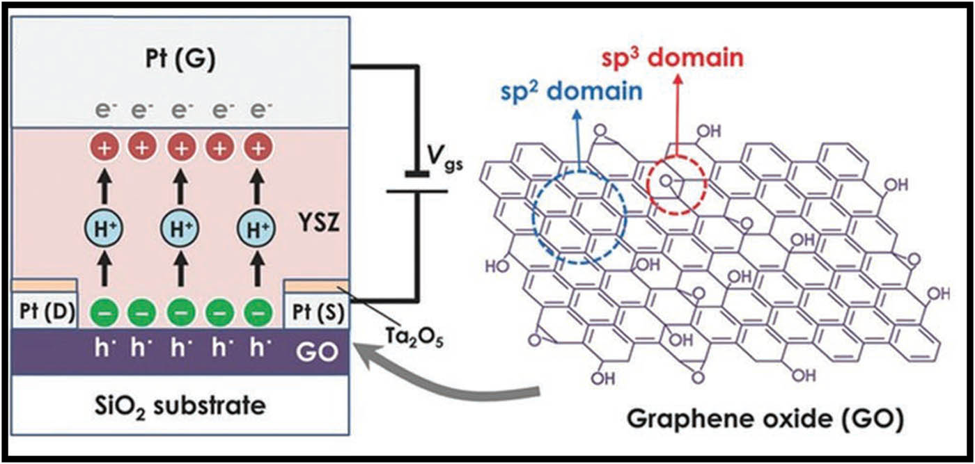 Figure 8 
                  Schematic illustration of GO-based all-solid-state electric double-layer transistor. G, S, and D denote the gate, source, and drain electrodes [92].
               
