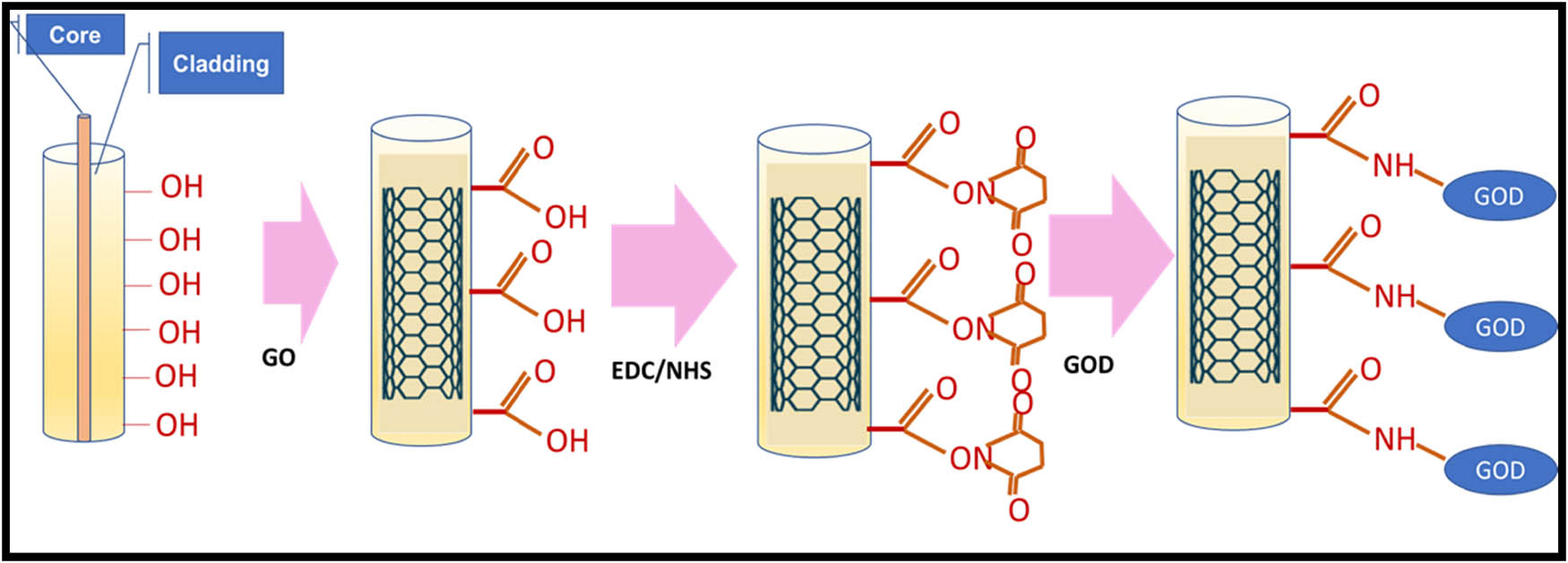 Figure 21 
                  Schematic illustration of a fiber-optic biosensor based on GO-coated LPFG: FPLG surface with hydroxylation treatment, GO deposition, EDC/NHS-treated, and GOD-immobilized LPFG.
               