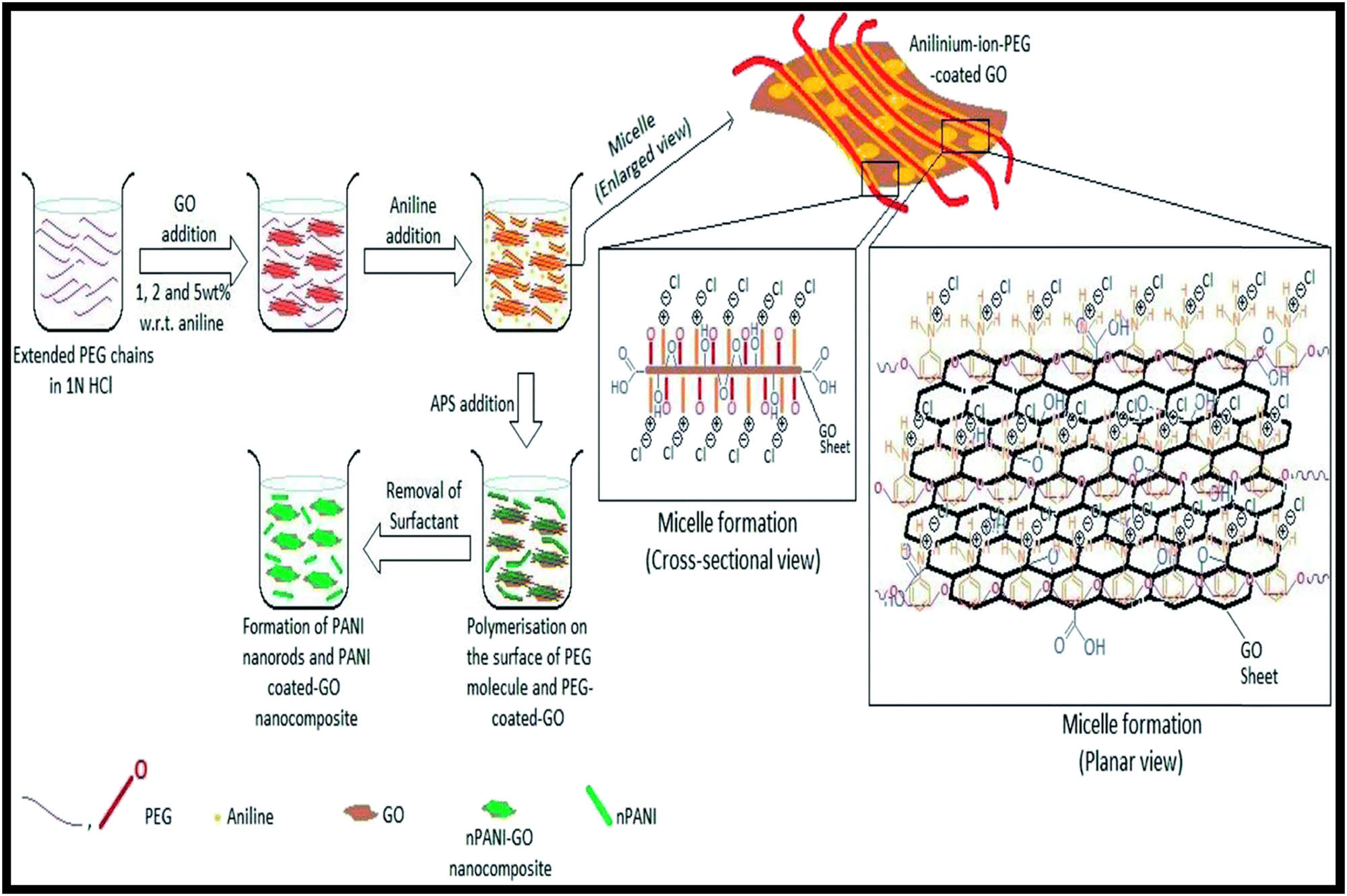 Figure 26 
                  Various steps are involved in the preparation of n-PANI–GO composites along with the representation of both cross-sectional and planar views of the intermediate structures [176].
               