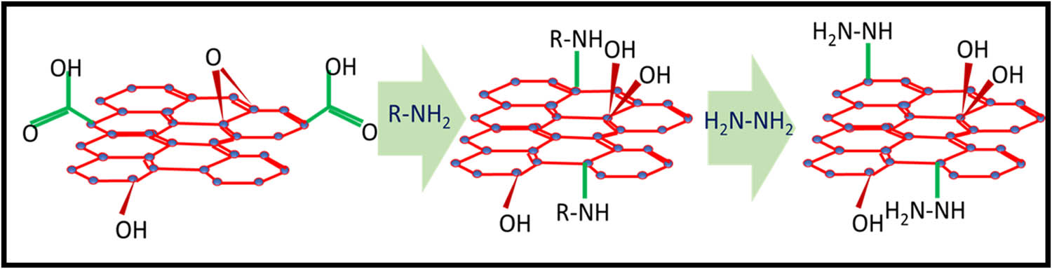 Figure 27 
                  Scheme of amine bonding in HA–GO and HA–graphene papers.
               