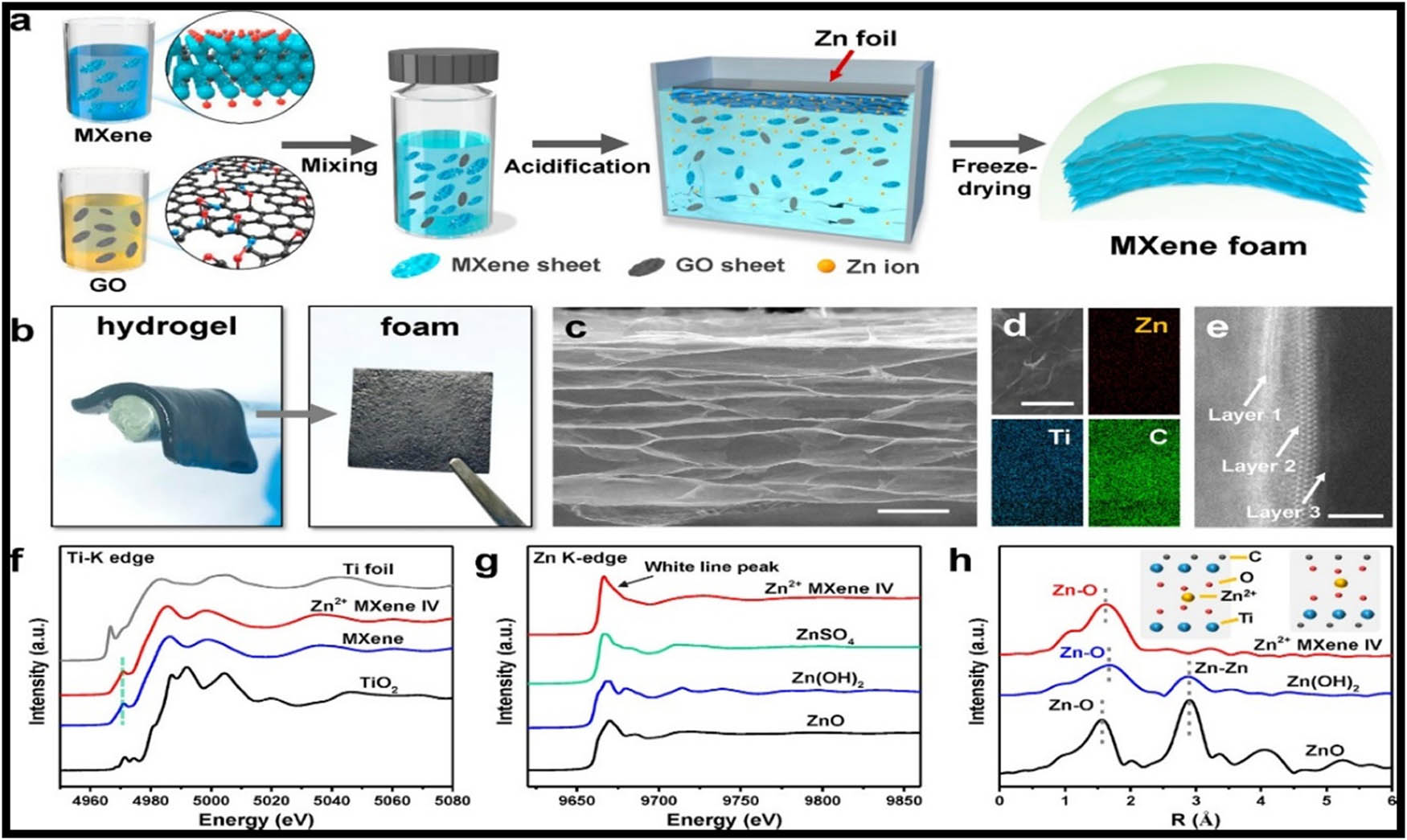 Figure 28 
                  (a) Schematic representation of ion-diffusion-induced gelation process, (b) free-standing and flexible Zn2+ MXene IV hydrogel and foam, (c) cross-sectional scanning electron microscopy, (d) energy-dispersive X-ray spectroscopic elemental mapping, (e) high-angle annular dark-field scanning transmission electron microscopy images of the Zn2+ MXene IV foam, (f) Ti K-edge X-ray absorption near-edge structure, (g) Zn K-edge, and (h) Fourier transform extended X-ray absorption fine-structure spectra of the Zn2+ MXene IV foam and references. Scale bars: (c) 50 μm, (d) 5 μm, (e) 2 nm [183].
               