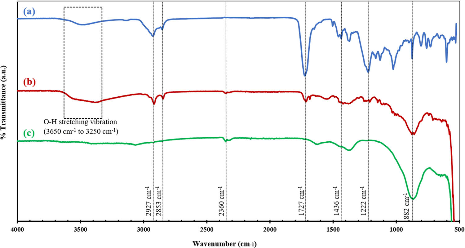 Figure 4 
                  FTIR spectra of (a) SMEAF, (b) ZnOSMEAF, and (c) ZnOChem.
               