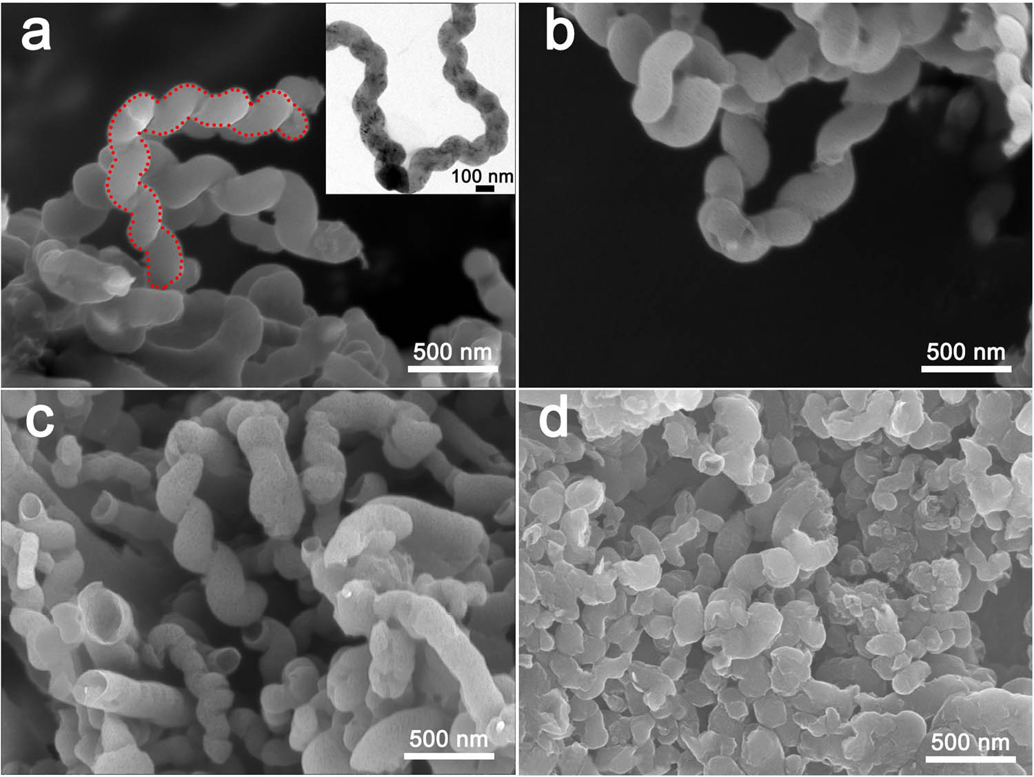 Figure 1 
               Morphological analysis of HCNTs. The SEM images of (a) O-HCNTs and (b–d) F-HCNTs treated for 0.5, 1, and 3 h.
            
