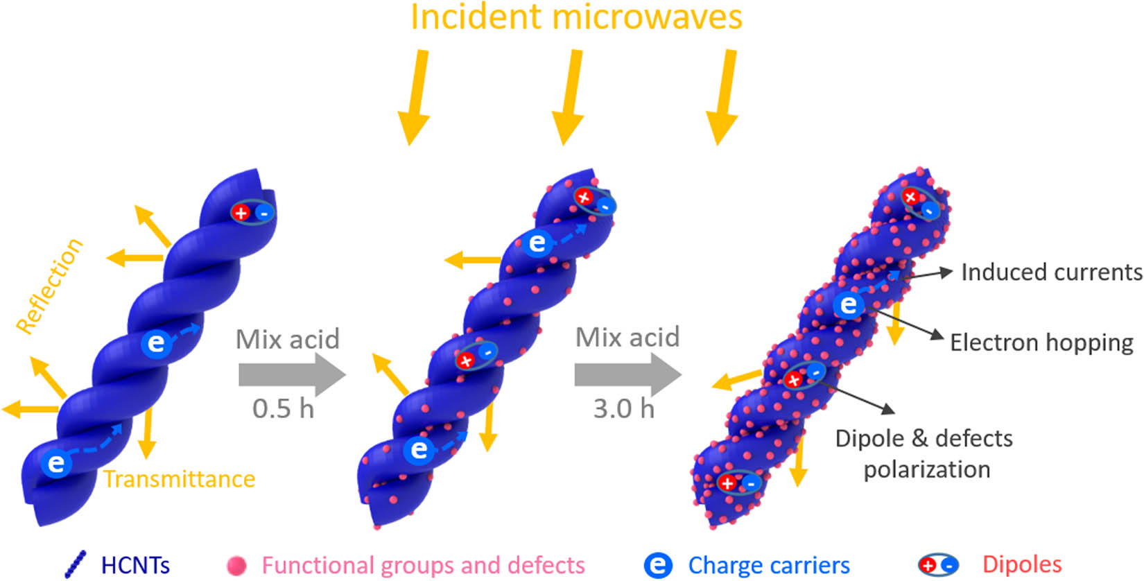 Figure 6 
               Schematic illustration of the potential MA mechanisms for HCNTs.
            