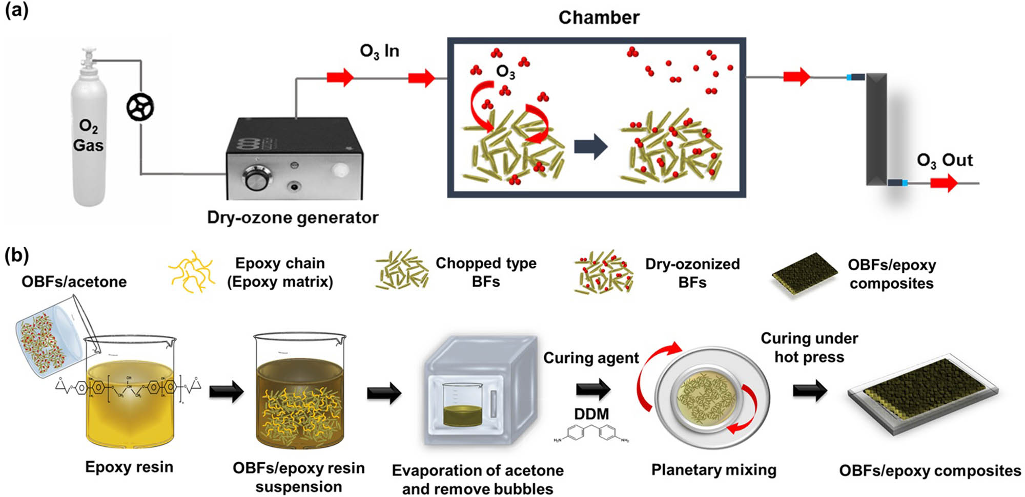 Figure 1 
                  Schematic representation of OBFs/epoxy composites: (a) dry-ozone treatment of BFs and (b) composite preparation process.
               